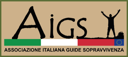 A.I.G.S